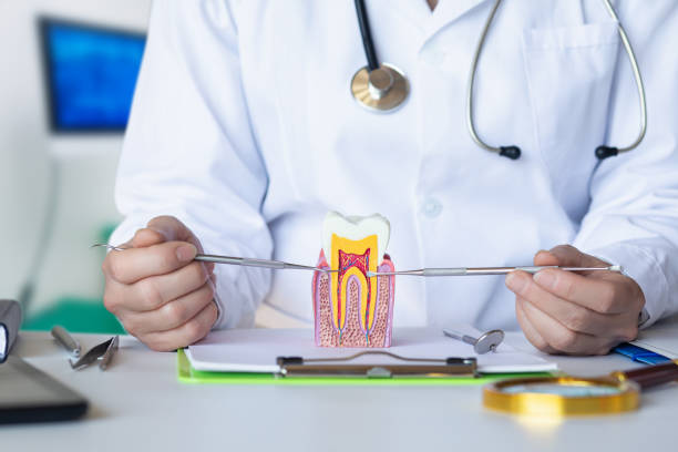 Best Walk-In Emergency Dentist in Preston, TX